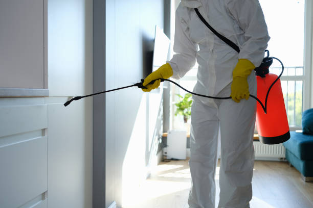 Best Localized Mold Remediation (e.g., coastal areas, humid climates) in Chewelah, WA