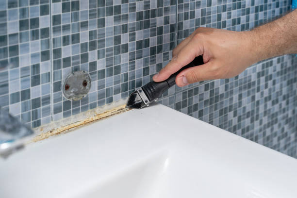 Best Insurance-Related Mold Remediation in Chewelah, WA