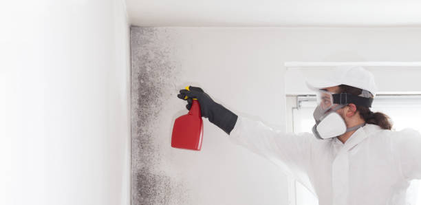 Best HVAC Mold Remediation in Chewelah, WA