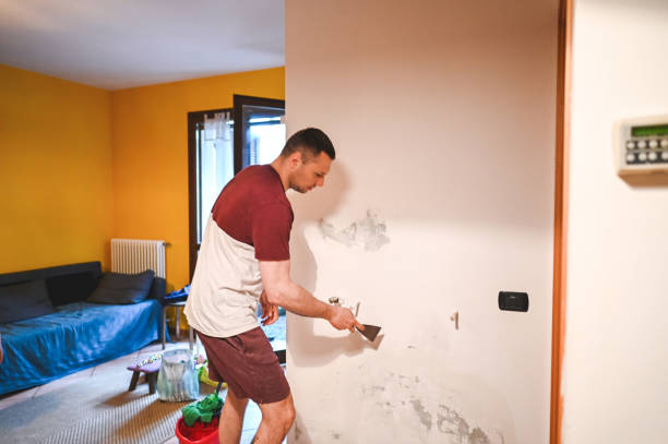 Best Emergency Mold Remediation in Chewelah, WA